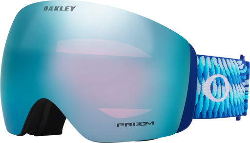 Flight Deck™ L Snow Goggles