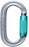 Oval Triple Lock Carabiner
