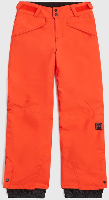 Boy's Hammer Snow Pants 2025