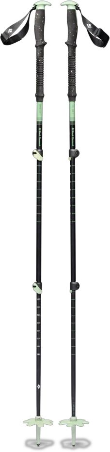 Expedition 3P Ski Poles