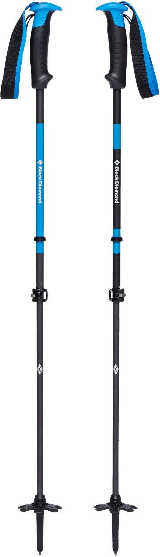 Razor Carbon Pro Ski Poles EX DEMO