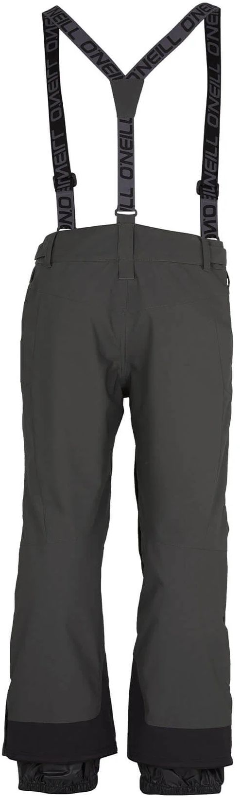 Men's Total Disorder Snow Pants 2025