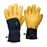 Legend Gloves  2026