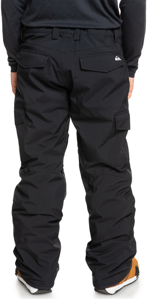 Mens Porter Snow Pants 2025