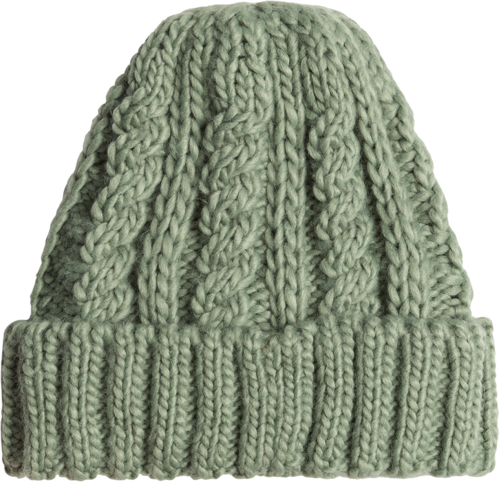 Tram Cuff Beanie 2025